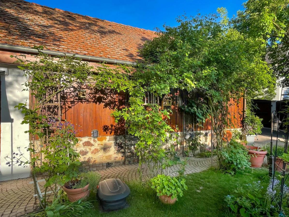 Ferienhaus Burgblick Münzenberg Buitenkant foto